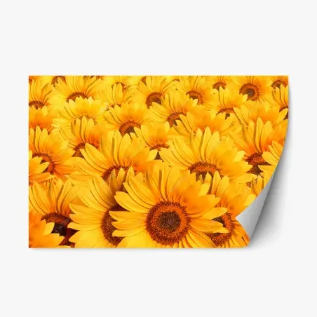 Sticker repositionnable mosaïque de tournesols dorés – Wallnifity®