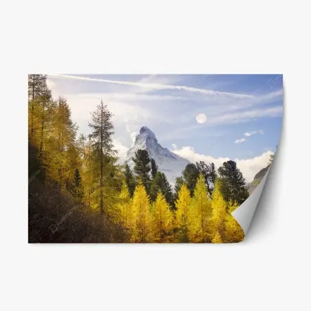 Sticker repositionnable Cervin en automne, forêt de mélèzes dorés – Wallnifity®