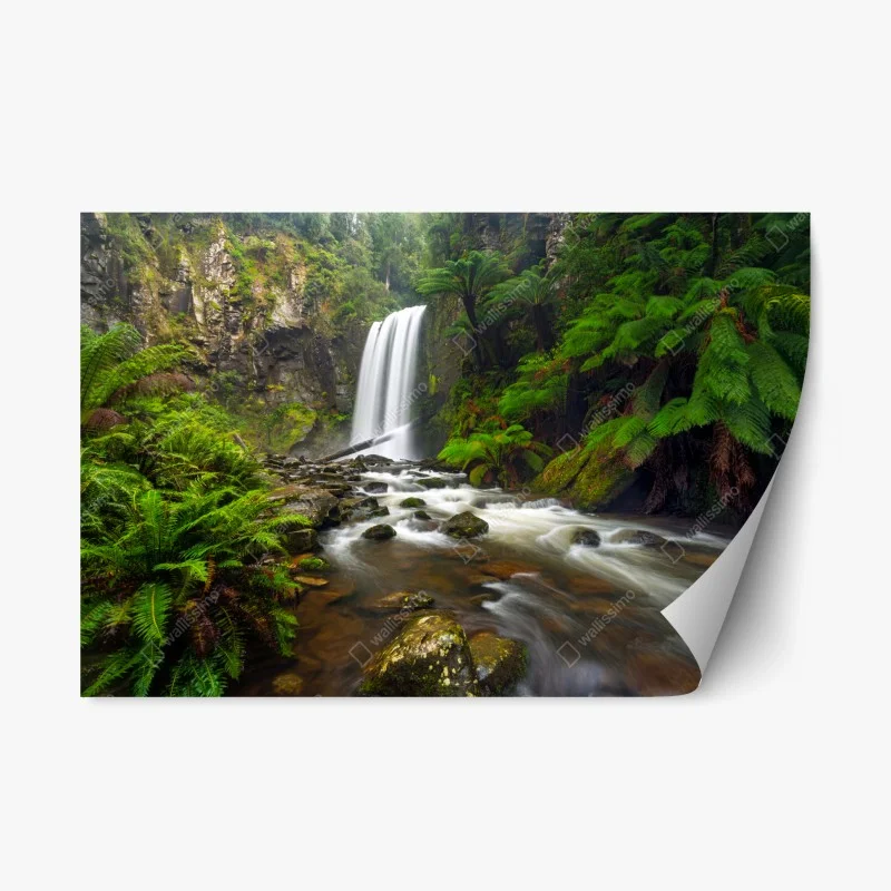 Nature – Wallnifity®