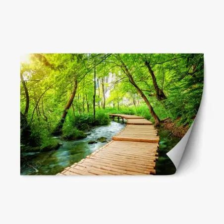 Sticker repositionnable chemin en bois au cœur de Plitvice – Wallnifity®