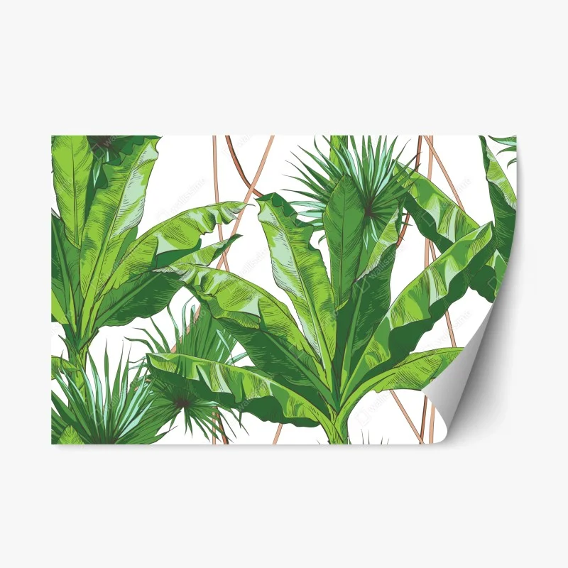 Fleurs et plantes – Wallnifity®