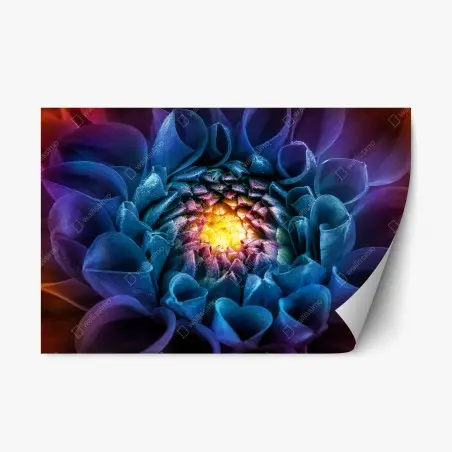 Sticker repositionnable éclat floral multicolore - chrysanthème en macro – Wallnifity®