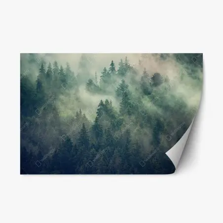 Sticker repositionnable forêt embrumée aux sapins majestueux – Wallnifity®