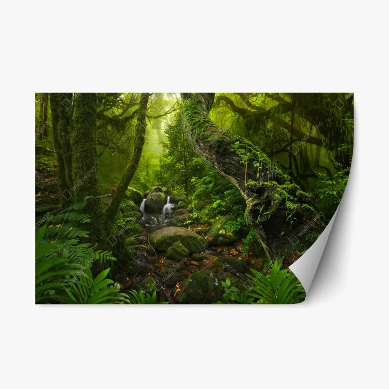 Nature – Wallnifity®