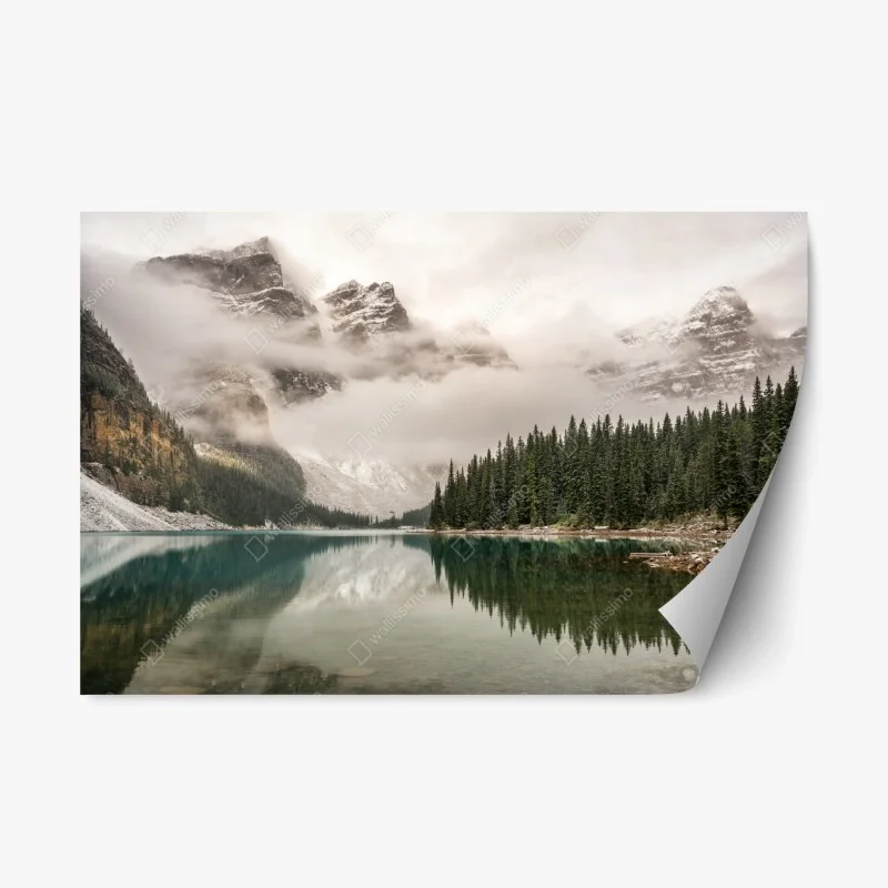 Nature – Wallnifity®