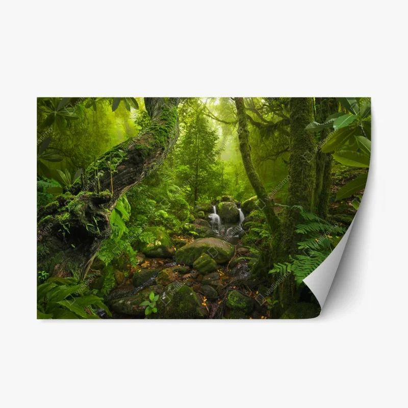 Sticker repositionnable forêt brumeuse et ruisseau enchanteur – Wallnifity®