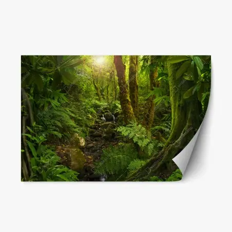 Sticker repositionnable forêt luxuriante baignée de lumière – Wallnifity®