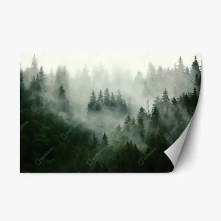 Sticker repositionnable silence de la forêt brumeuse – Wallnifity®