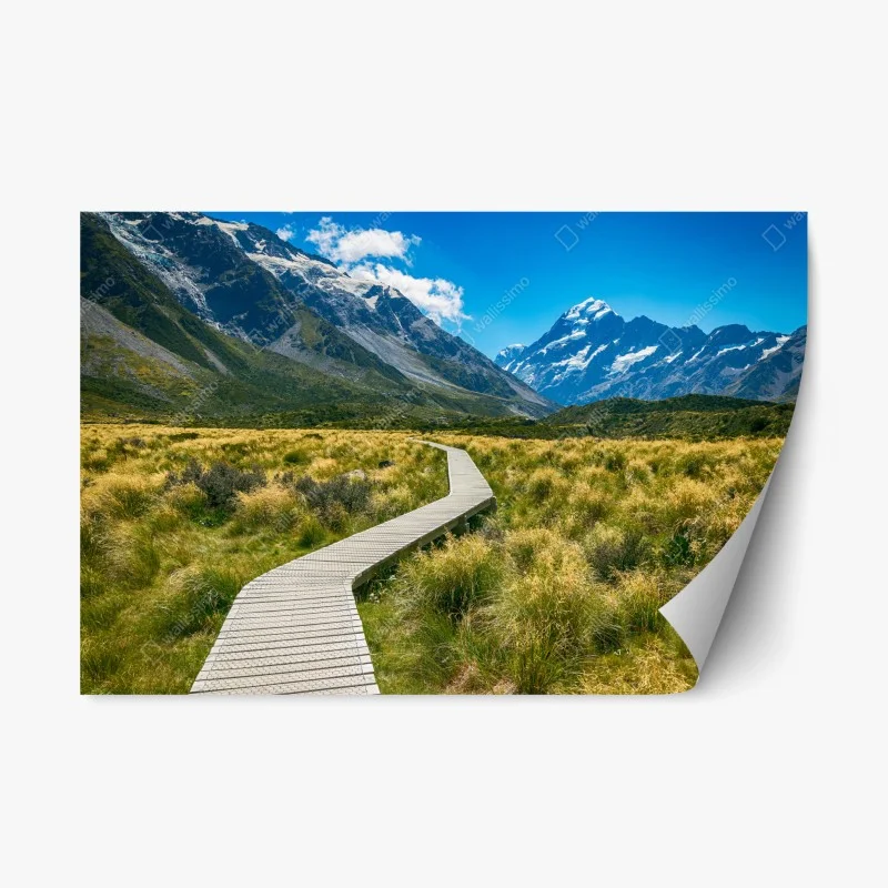 Nature – Wallnifity®