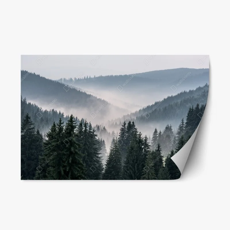 Nature – Wallnifity®