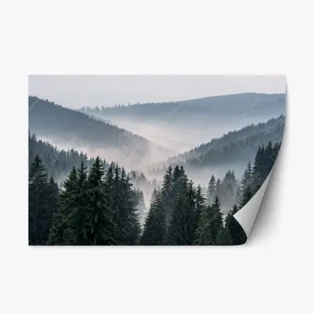 Sticker repositionnable brume matinale sur la forêt de conifères – Wallnifity®