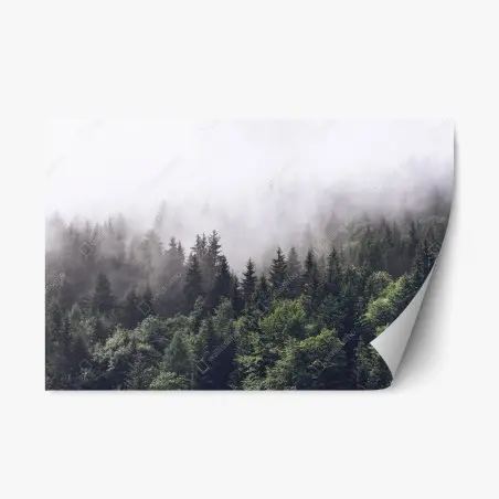 Sticker repositionnable brume sur la forêt montagneuse – Wallnifity®