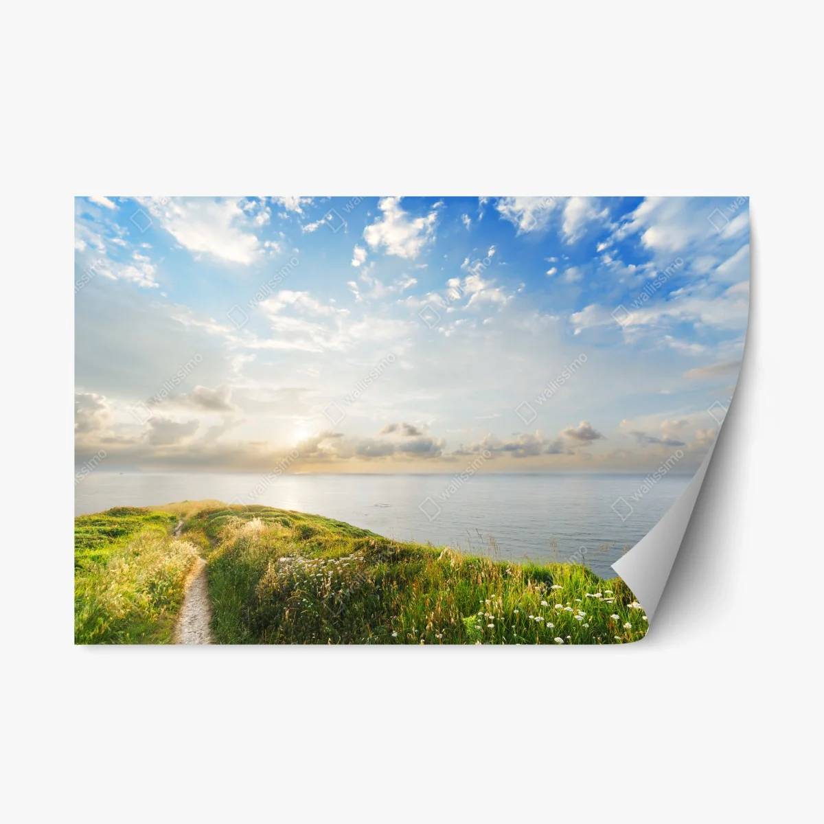 Sticker repositionnable sentier côtier au bord de la mer – Wallnifity® Sticker repositionnable sentier côtier au bord de la mer – Wallnifity®