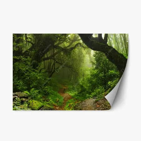 Sticker repositionnable sentier enchanté dans la forêt brumeuse – Wallnifity®
