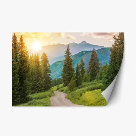 Sticker repositionnable route de montagne ensoleillée, Colorado – Wallnifity®