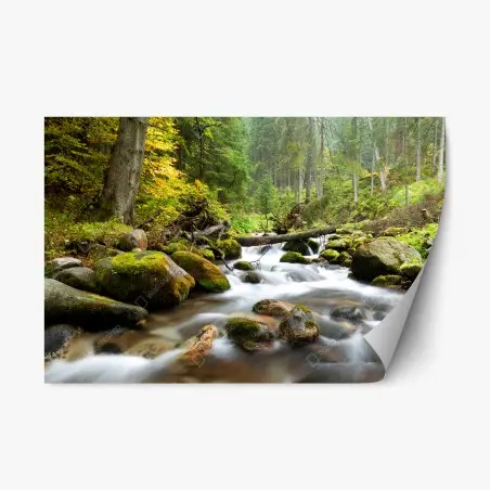Sticker repositionnable ruisseau forestier paisible aux rochers moussus – Wallnifity®