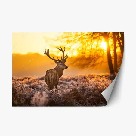 Sticker repositionnable cerf au lever du soleil dans un paysage givré – Wallnifity®