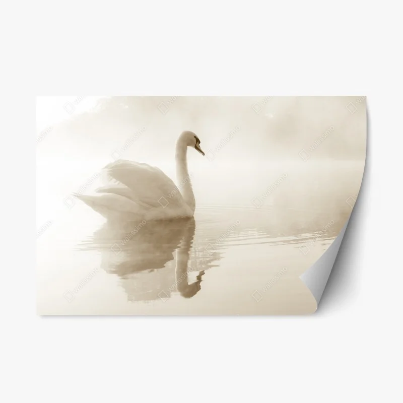 Animaux – Wallnifity®