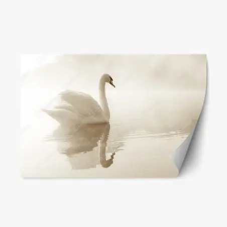 Sticker repositionnable cygne en brume : élégance sur l'eau – Wallnifity®