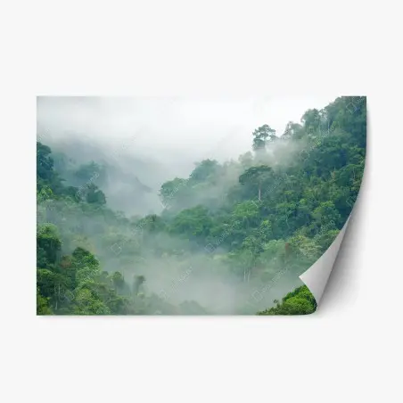 Sticker repositionnable brume matinale sur la forêt de Kaeng Krachan, Thaïlande – Wallnifity®