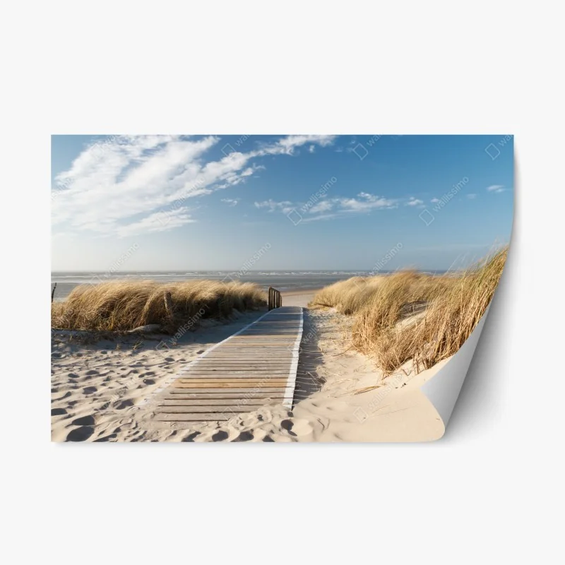 Nature – Wallnifity®