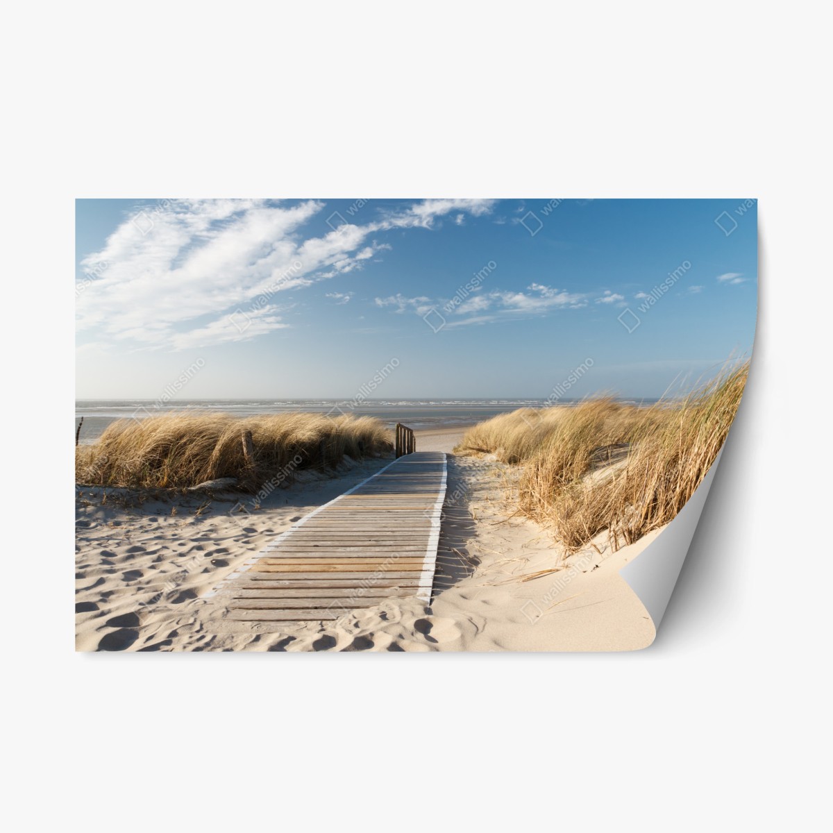 Sticker repositionnable chemin de bois vers la mer à travers les dunes – Wallnifity®