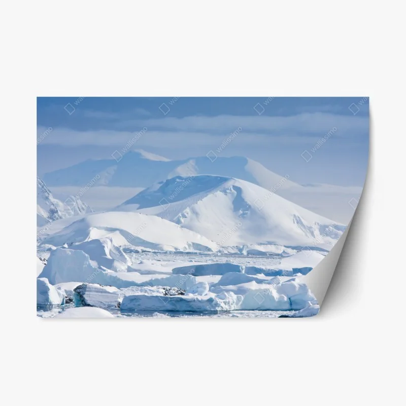 Sticker repositionnable paysage polaire immaculé en Antarctique – Wallnifity®