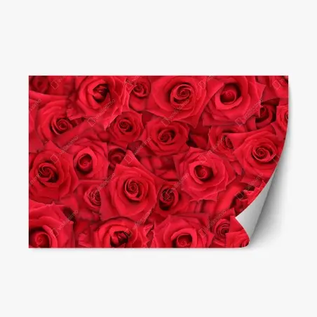 Sticker repositionnable motif de roses rouges en gros plan – Wallnifity®