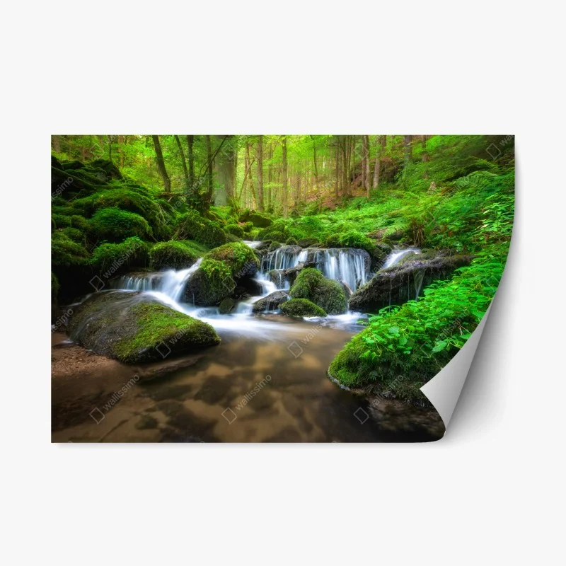 Sticker repositionnable cascade sereine au cœur de la forêt – Wallnifity®