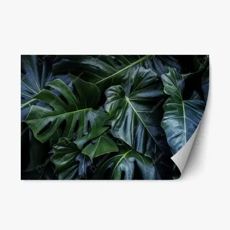 Sticker repositionnable feuillage tropical vert profond – Wallnifity®