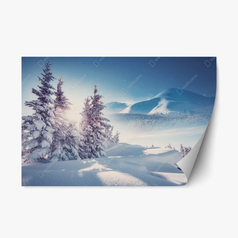 Nature – Wallnifity®
