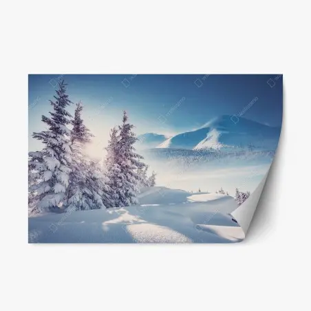 Sticker repositionnable lumière d'hiver dans les Carpates – Wallnifity®
