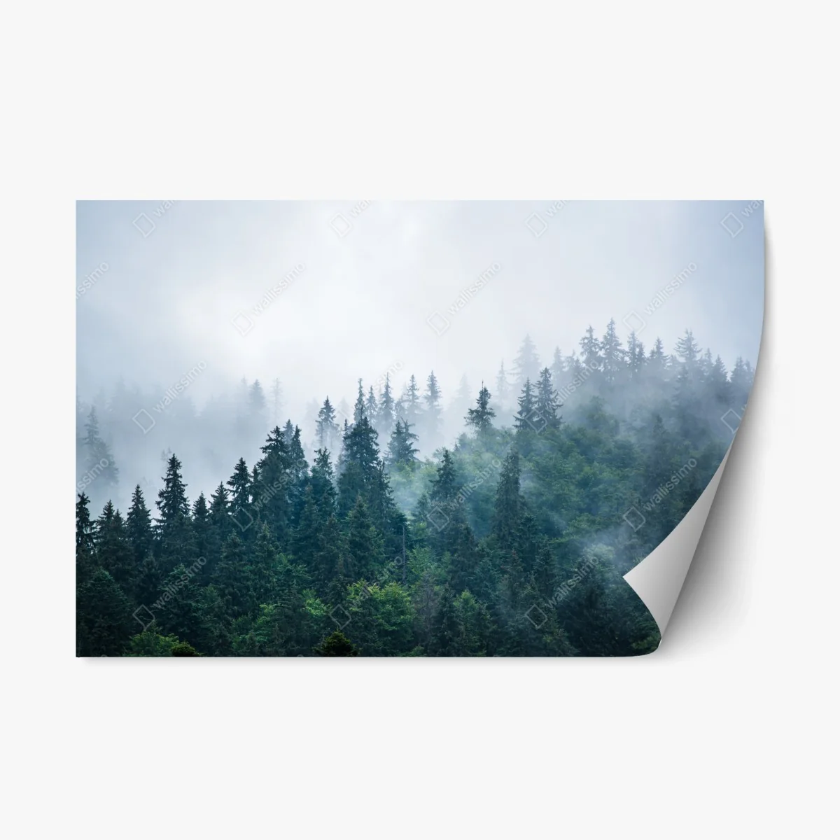 Sticker repositionnable brume sur la forêt de sapins – Wallnifity® Sticker repositionnable brume sur la forêt de sapins – Wallnifity®