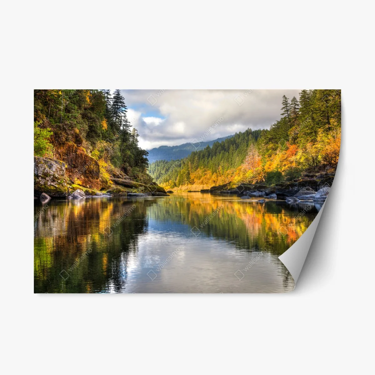 Sticker repositionnable paysage du Rogue River aux couleurs d'automne – Wallnifity® Sticker repositionnable paysage du Rogue River aux couleurs d'automne – Wallnifity®