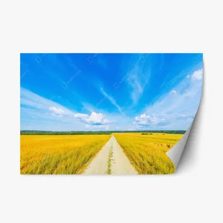 Sticker repositionnable route de campagne vers l'horizon doré – Wallnifity®