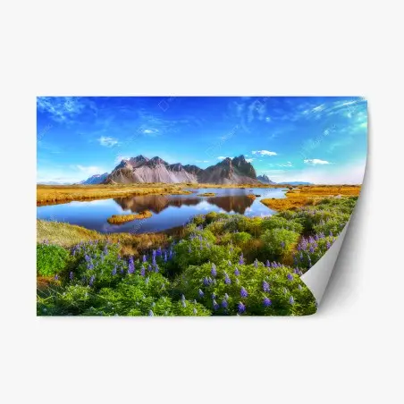 Sticker repositionnable lupins au pied de Vestrahorn – Wallnifity®