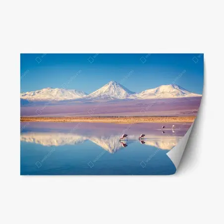 Sticker repositionnable reflet du volcan Licancabur sur la lagune Chaxa – Wallnifity®