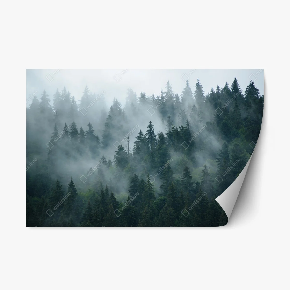 Sticker repositionnable brume matinale sur la forêt de sapins – Wallnifity® Sticker repositionnable brume matinale sur la forêt de sapins – Wallnifity®