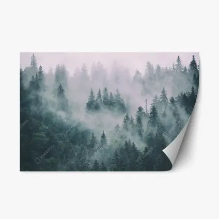 Sticker repositionnable forêt de conifères embrumée – Wallnifity®