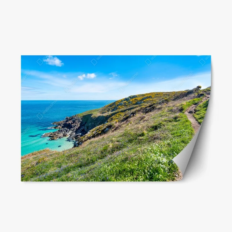 Nature – Wallnifity®
