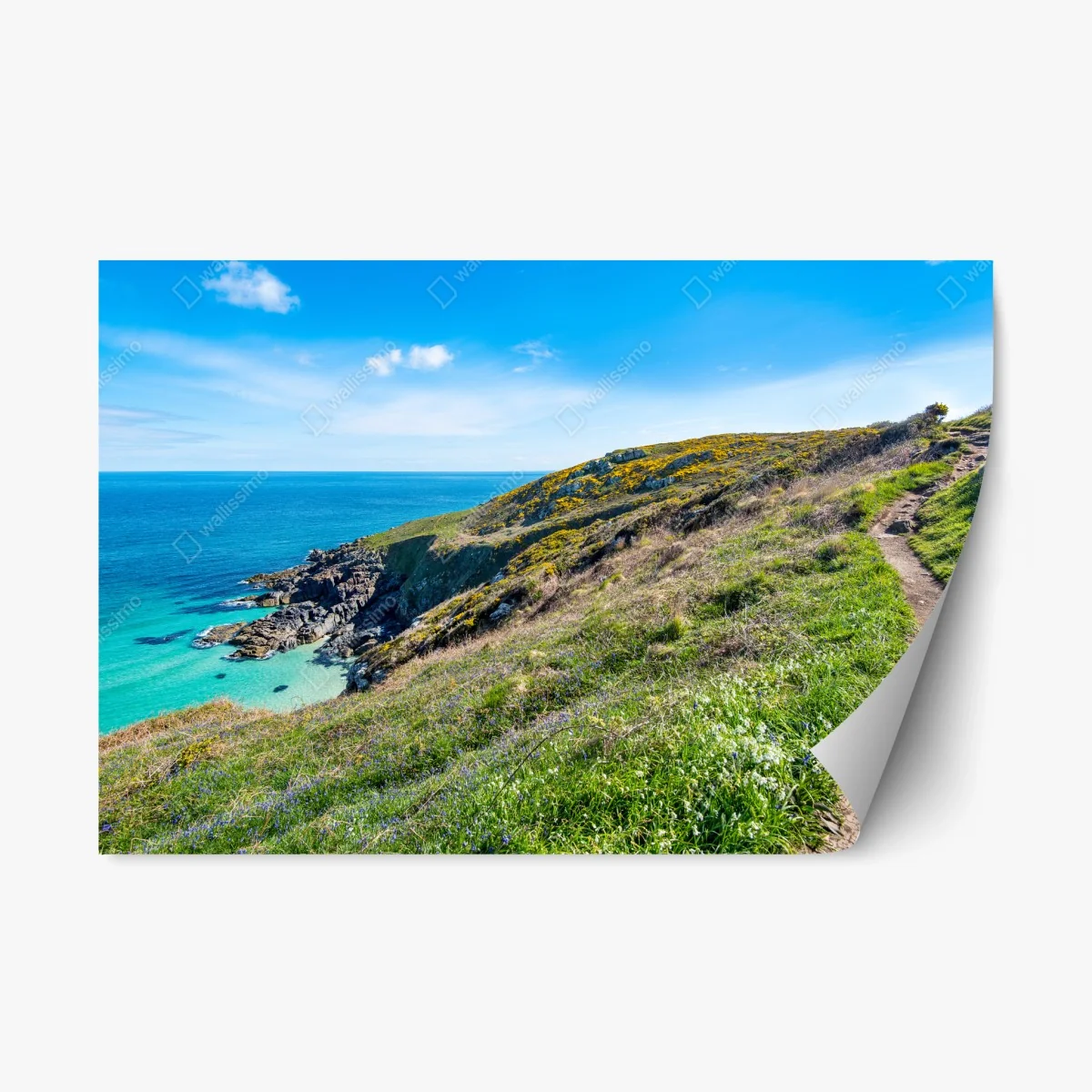 Sticker repositionnable sentier côtier vers Hor Point, St Ives – Wallnifity® Sticker repositionnable sentier côtier vers Hor Point, St Ives – Wallnifity®