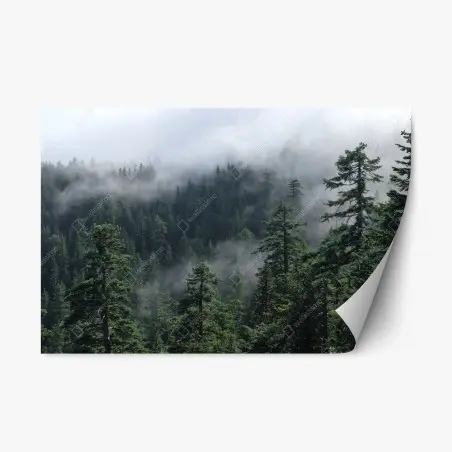 Sticker repositionnable brume éternelle sur la forêt de Larch Mount, Oregon – Wallnifity®