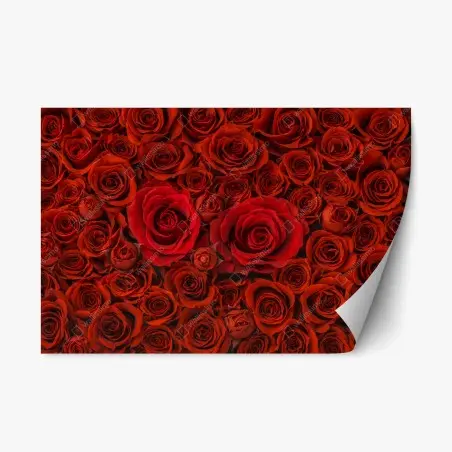 Sticker repositionnable mur floral de roses rouges – Wallnifity®