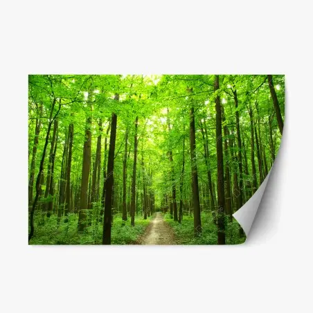 Sticker repositionnable chemin forestier verdoyant au cœur de la nature – Wallnifity®