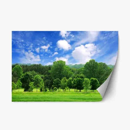 Sticker repositionnable forêt verdoyante sous un ciel bleu éclatant – Wallnifity®