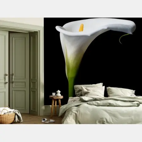 Papier peint élégance d'arum blanc sur fond noir – Wallnifity®