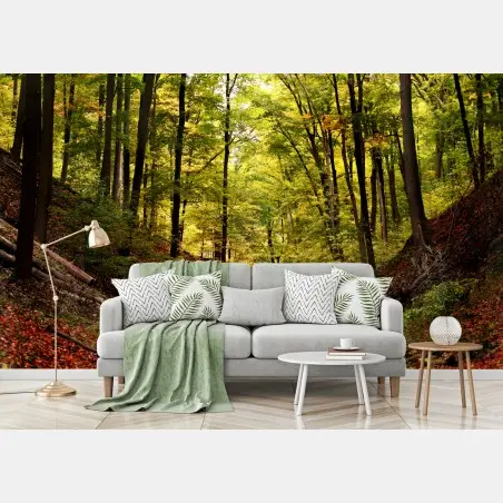Papier peint balade au cœur de la forêt automnale – Wallnifity®