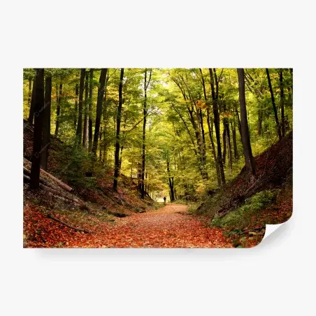 Papier peint balade au cœur de la forêt automnale – Wallnifity®