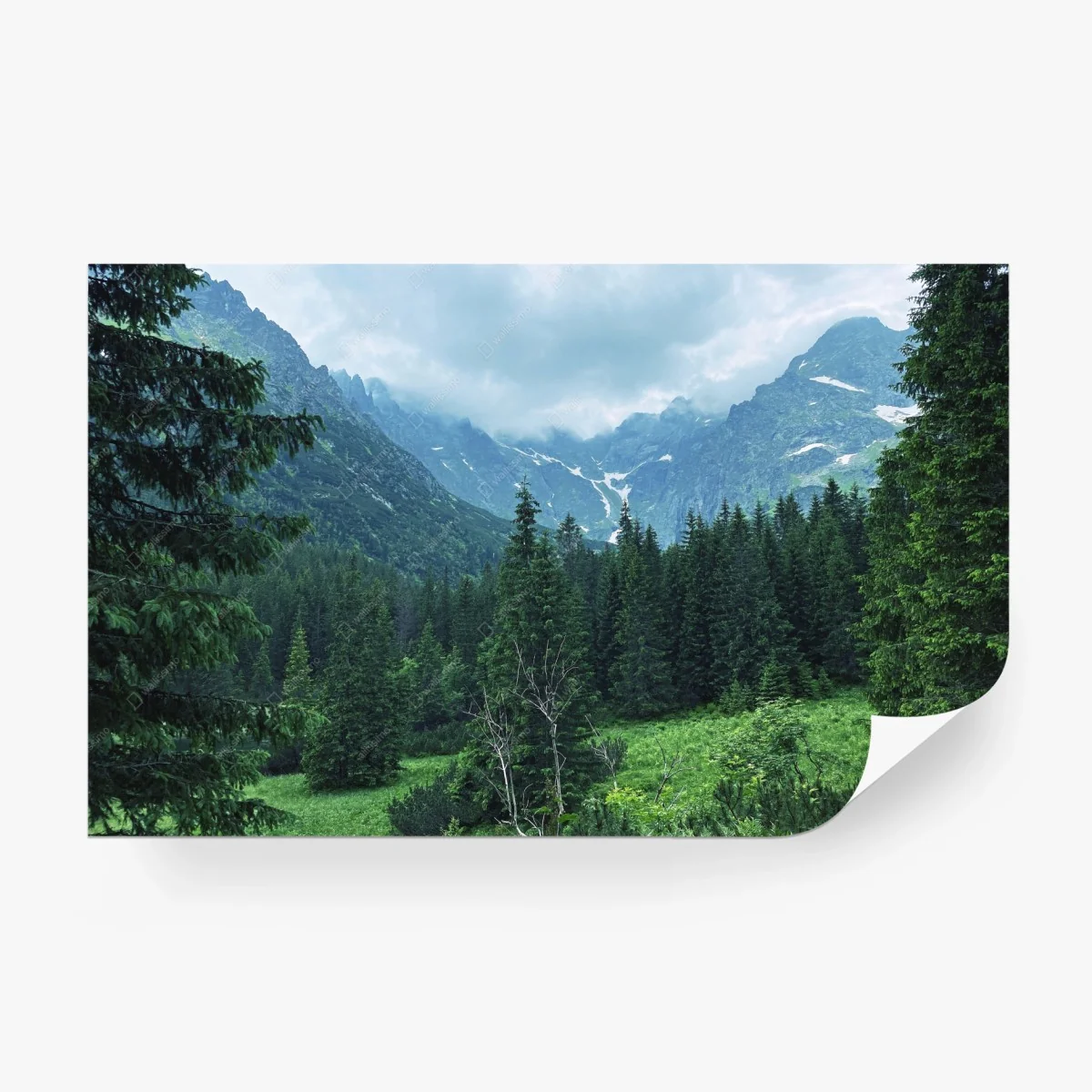 Papier peint vallée alpine brumeuse entre sapins – Wallnifity® Papier peint vallée alpine brumeuse entre sapins – Wallnifity®