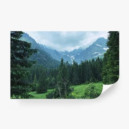 Papier peint vallée alpine brumeuse entre sapins – Wallnifity®